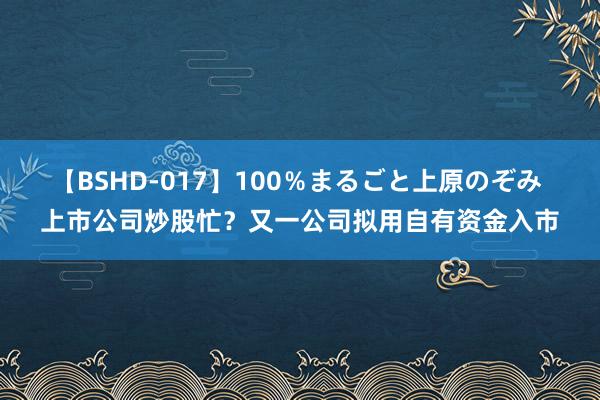 【BSHD-017】100％まるごと上原のぞみ 上市公司炒股忙？又一公司拟用自有资金入市