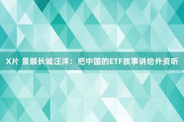 X片 景顺长城汪洋：把中国的ETF故事讲给外资听