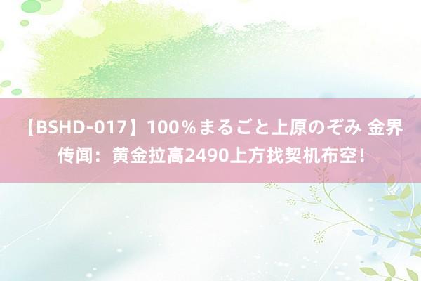 【BSHD-017】100％まるごと上原のぞみ 金界传闻：黄金拉高2490上方找契机布空！