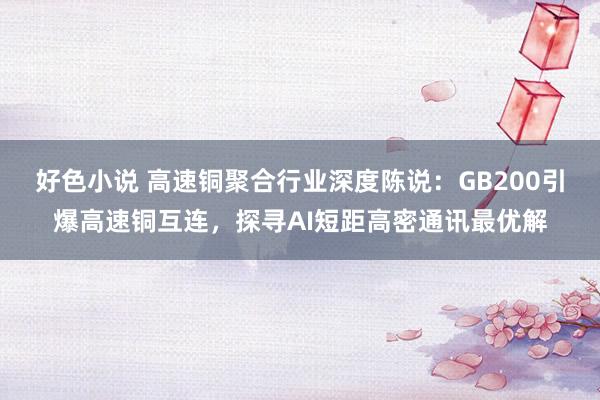 好色小说 高速铜聚合行业深度陈说：GB200引爆高速铜互连，探寻AI短距高密通讯最优解