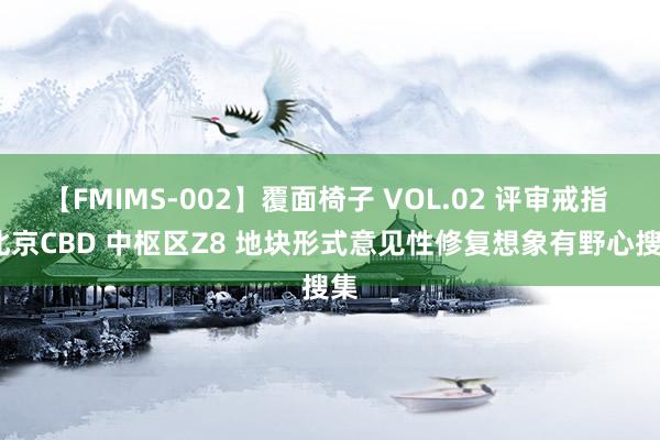 【FMIMS-002】覆面椅子 VOL.02 评审戒指 | 北京CBD 中枢区Z8 地块形式意见性修复想象有野心搜集