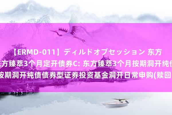 【ERMD-011】ディルドオブセッション 东方臻萃3个月定开债券A，东方臻萃3个月定开债券C: 东方臻萃3个月按期洞开纯债债券型证券投资基金洞开日常申购(赎回、迂回)业务公告