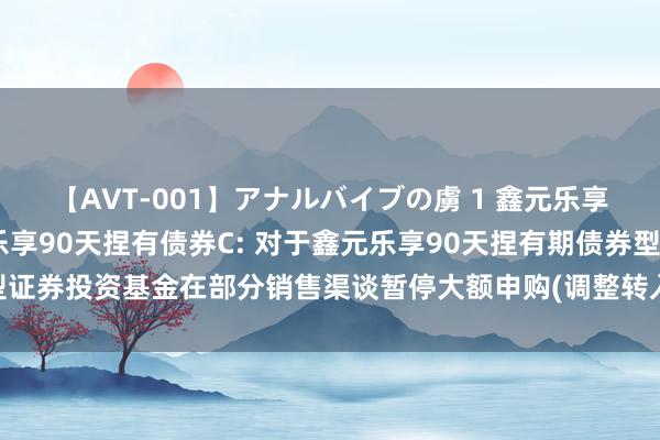 【AVT-001】アナルバイブの虜 1 鑫元乐享90天捏有债券A，鑫元乐享90天捏有债券C: 对于鑫元乐享90天捏有期债券型证券投资基金在部分销售渠谈暂停大额申购(调整转入、按时定额投资)业务的公告