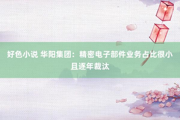 好色小说 华阳集团：精密电子部件业务占比很小且逐年裁汰