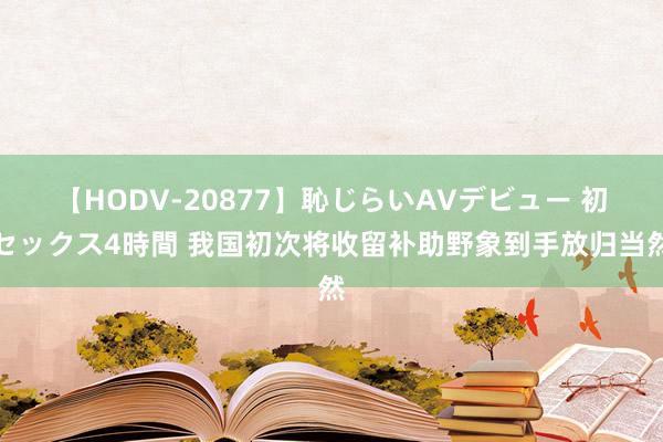 【HODV-20877】恥じらいAVデビュー 初セックス4時間 我国初次将收留补助野象到手放归当然