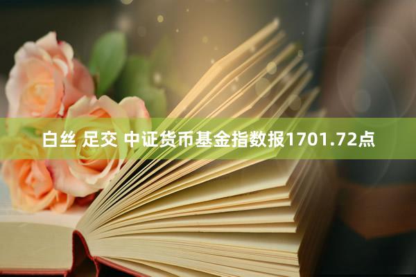 白丝 足交 中证货币基金指数报1701.72点