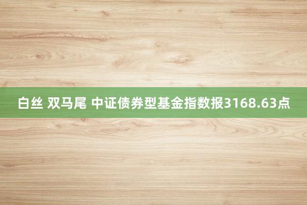 白丝 双马尾 中证债券型基金指数报3168.63点