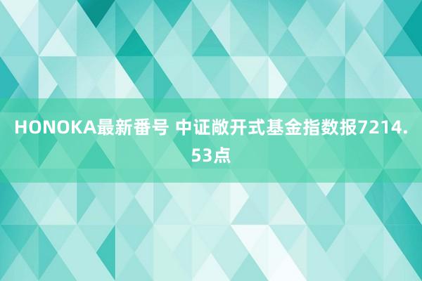 HONOKA最新番号 中证敞开式基金指数报7214.53点