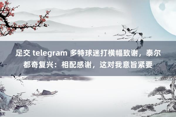 足交 telegram 多特球迷打横幅致谢，泰尔都奇复兴：相配感谢，这对我意旨紧要