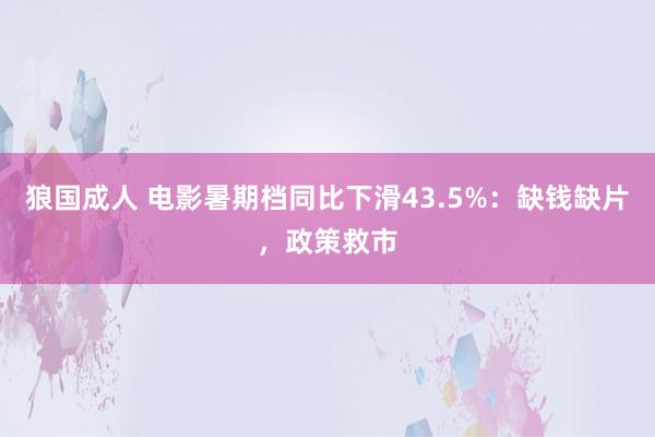 狼国成人 电影暑期档同比下滑43.5%：缺钱缺片，政策救市