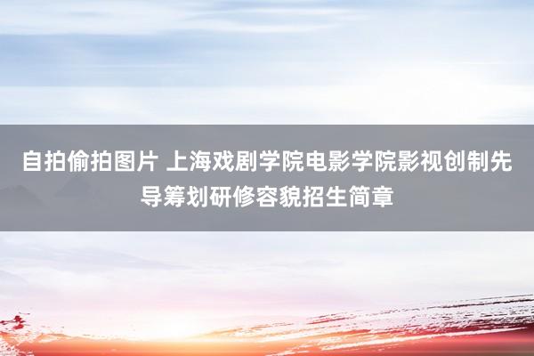 自拍偷拍图片 上海戏剧学院电影学院影视创制先导筹划研修容貌招生简章