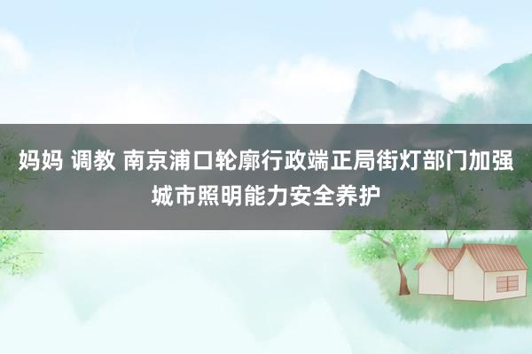 妈妈 调教 南京浦口轮廓行政端正局街灯部门加强城市照明能力安全养护